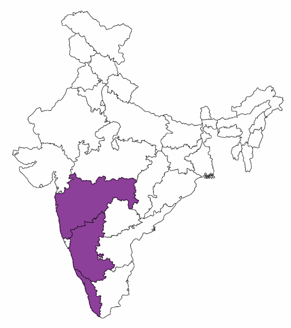 STATES PRESENCE